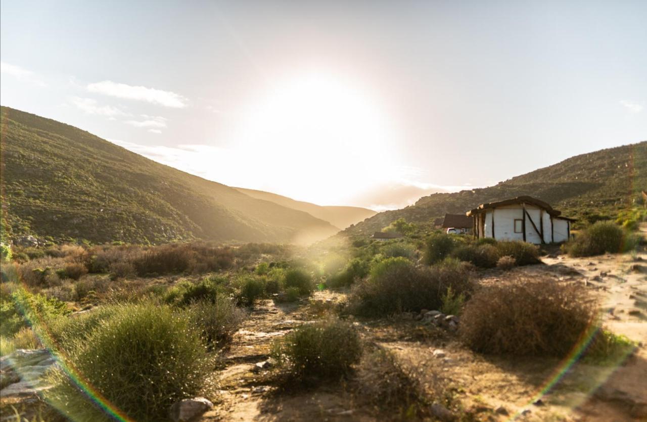Oudrif Farm Βίλα Clanwilliam Εξωτερικό φωτογραφία