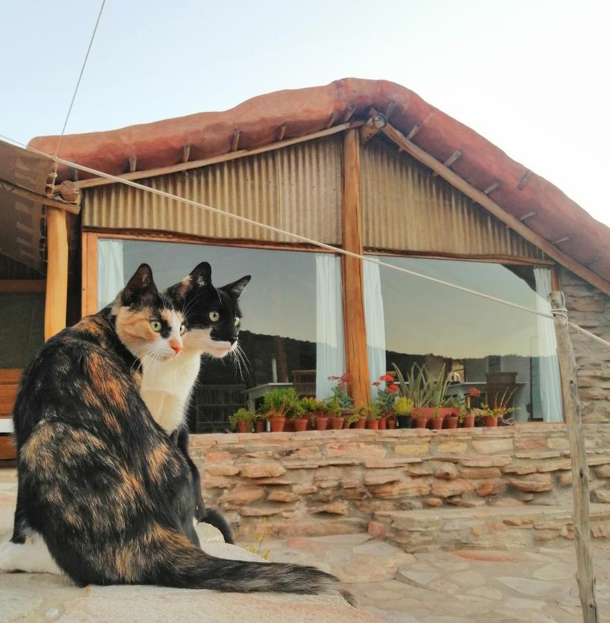 Oudrif Farm Βίλα Clanwilliam Εξωτερικό φωτογραφία